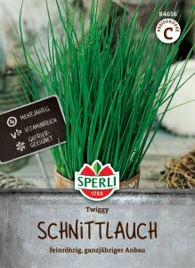 Schnittlauch - Twiggy